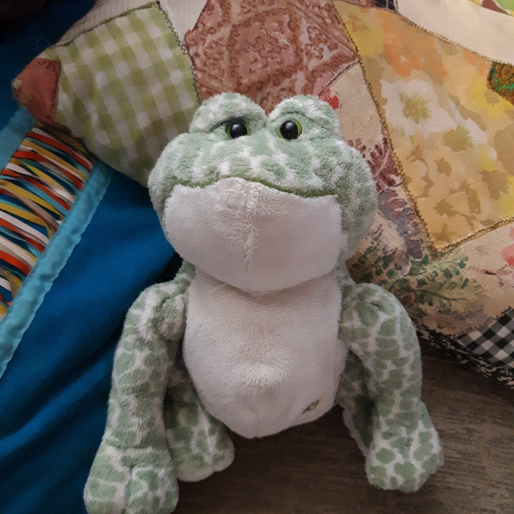 Frog Stuffed Animal Plush toy companion GANZ
